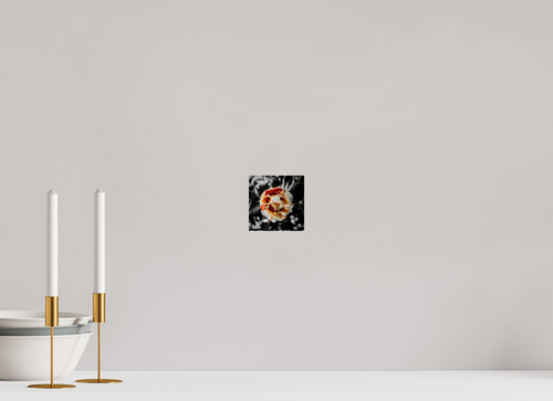 4 x 4″, Print Bloomed