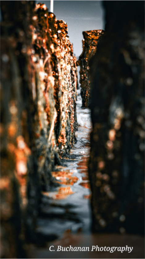 Main image Between the pilings